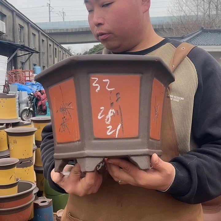 紫砂紫砂花盆盆栽