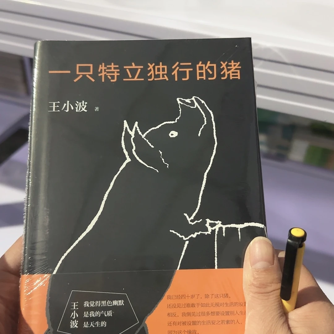 一只特立独行的猪闪购