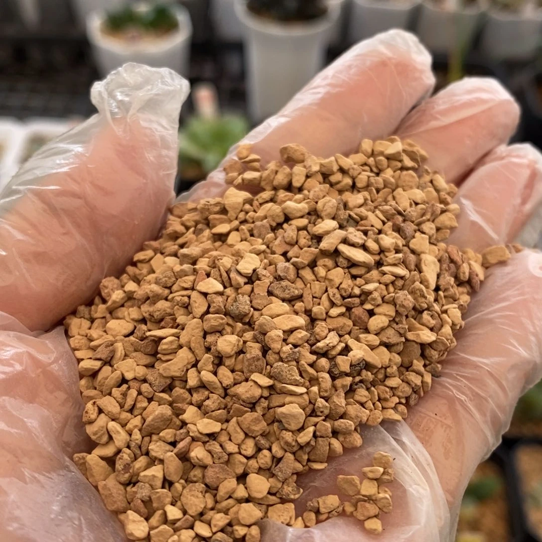 客户专拍专拍专拍专拍专拍