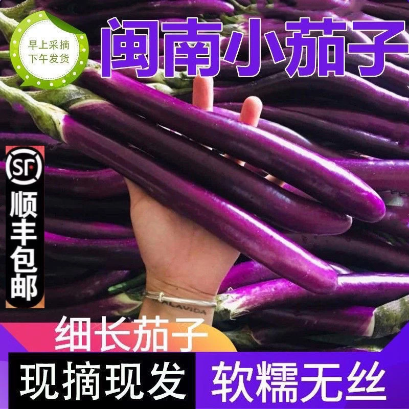 (顺丰)新鲜茄子长茄子 细紫线茄土茄子福建蔬菜农家自种现摘茄瓜