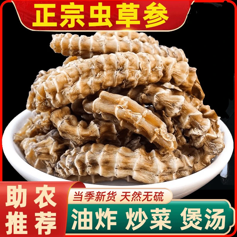 （淮农推荐）正宗虫草参干货地参煲汤竹节参草石蚕