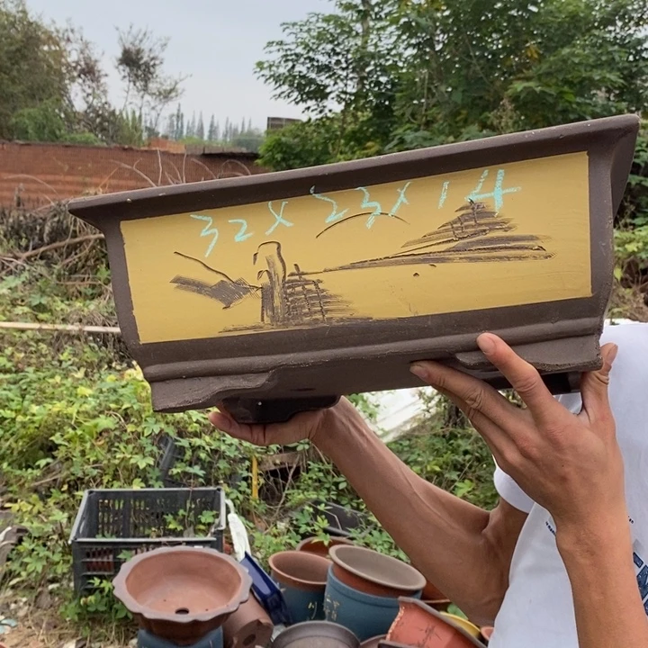 紫砂花盆这个世界上最大限度地