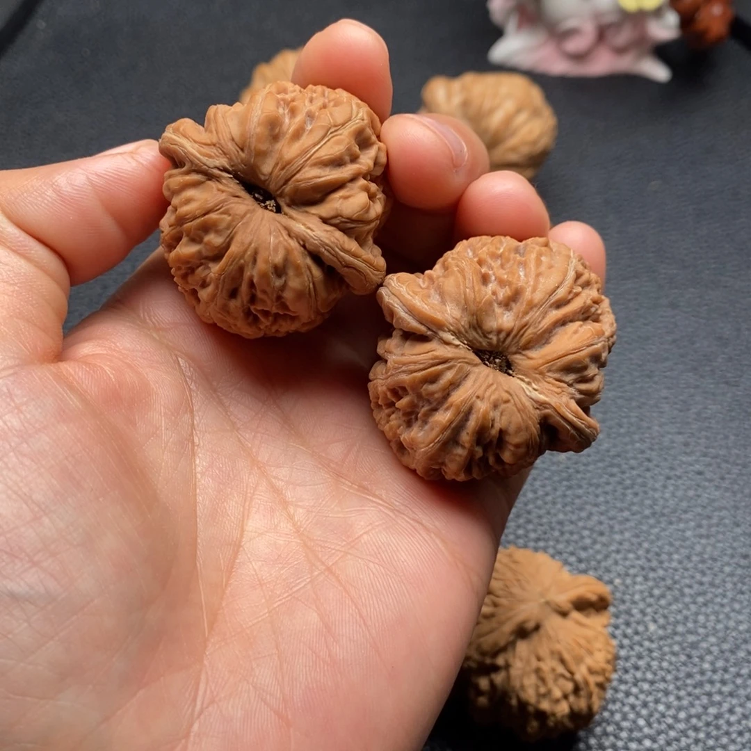 贡木全品元宝11111