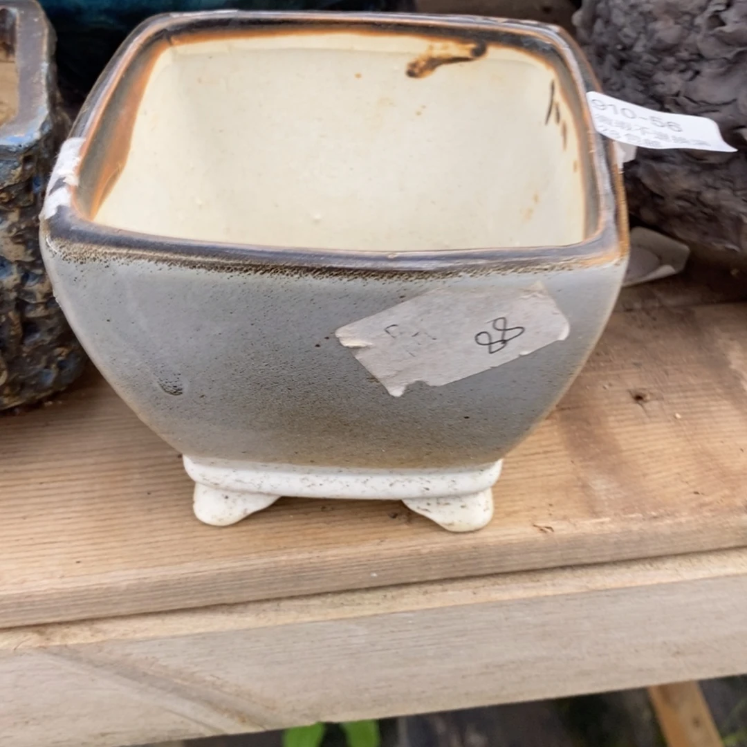 56号多肉盆口径10