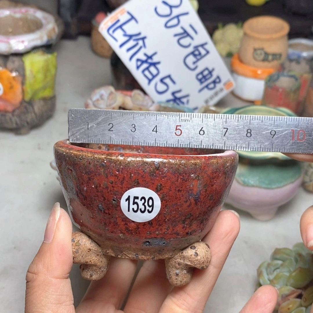 拍5送一个小礼物