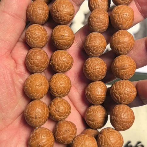 把件凤眼菩提凤眼菩提手把件，16左右尺寸，原皮原色的