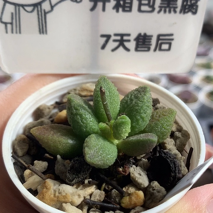 Jun427专拍专拍专拍