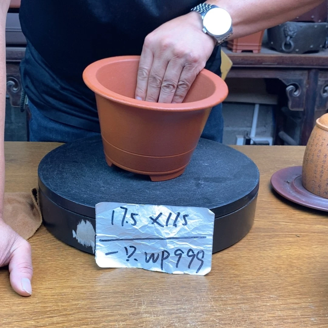 紫砂货号一只WP999