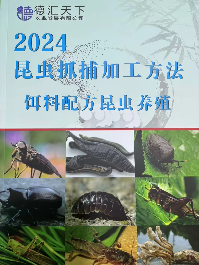 昆虫加工抓捕+特殊养殖