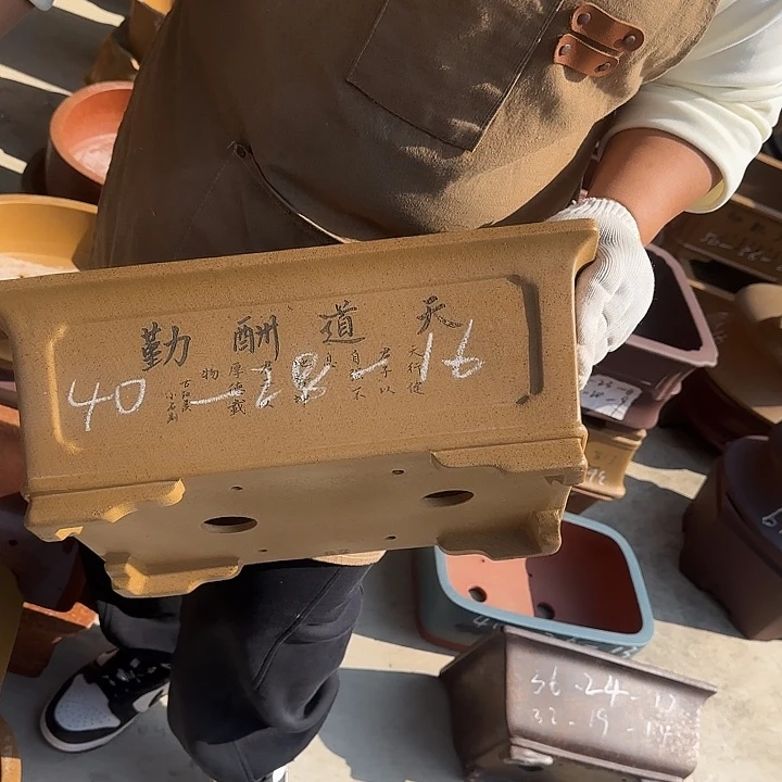 紫砂花盆我也很开心