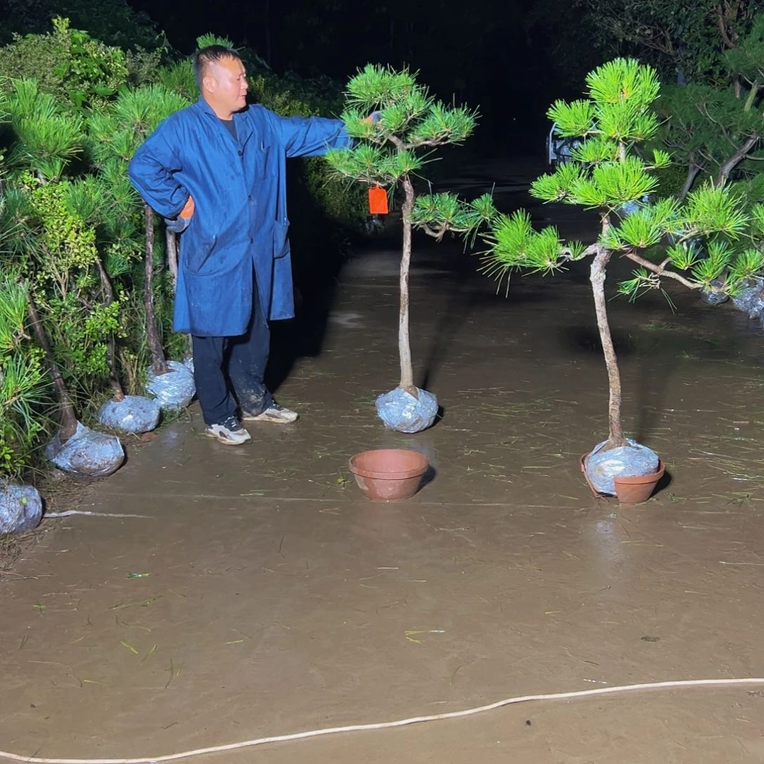 无花朵無****明88888888888