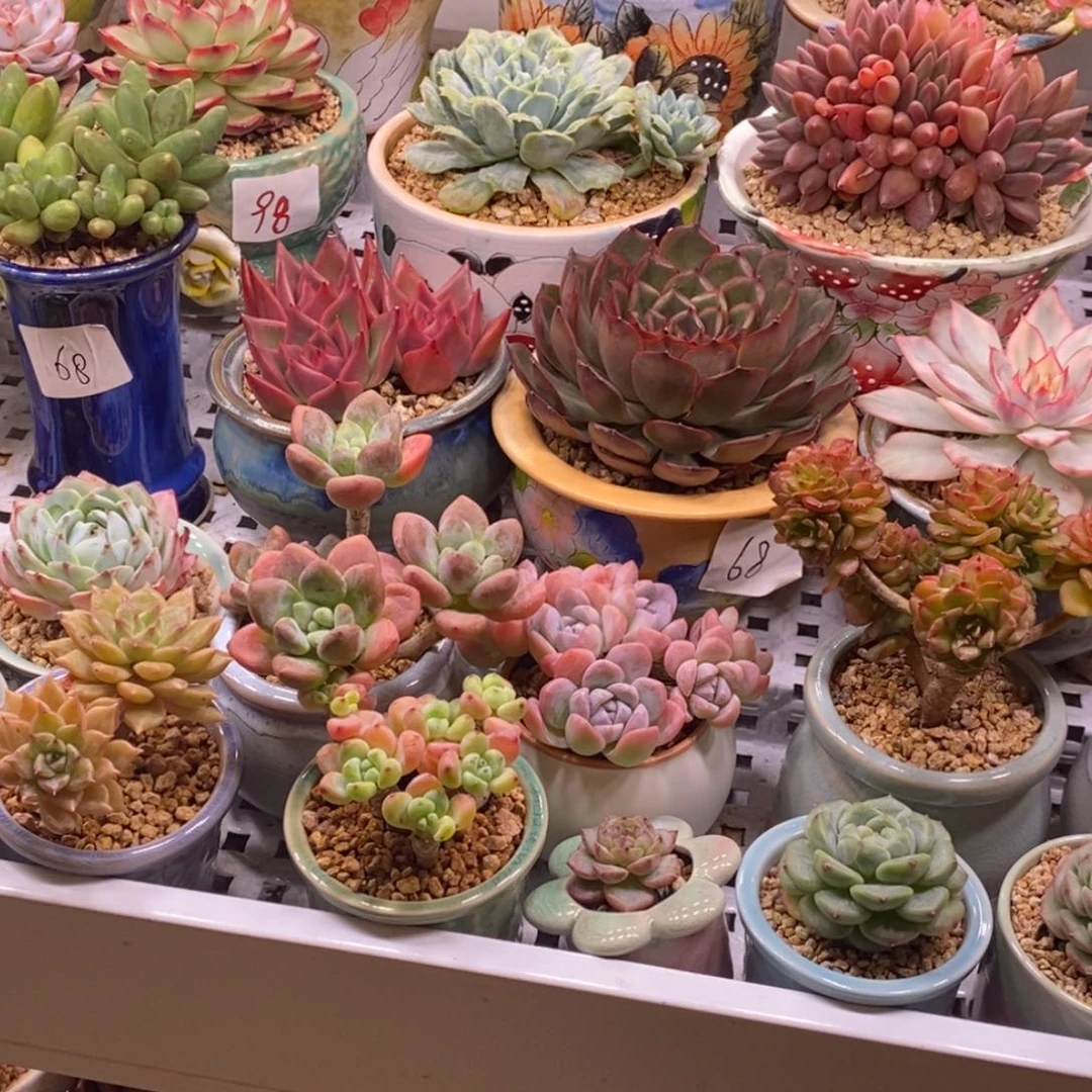 一物一拍所见所得，