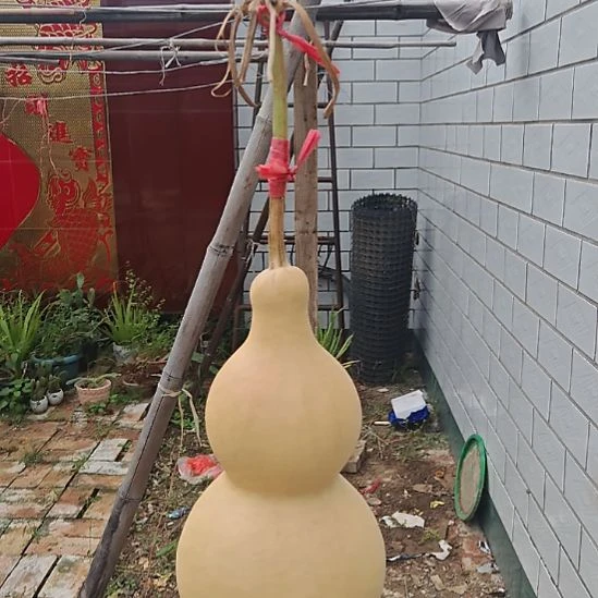 直播间价格链接专用价