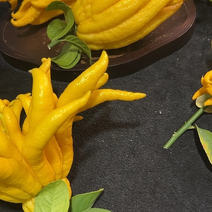 ****花完全开放九九九九佛手