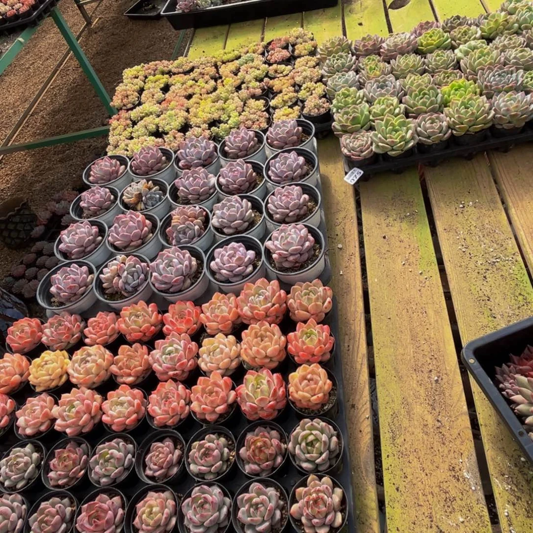 晚***淋075的最后几个小时了还没