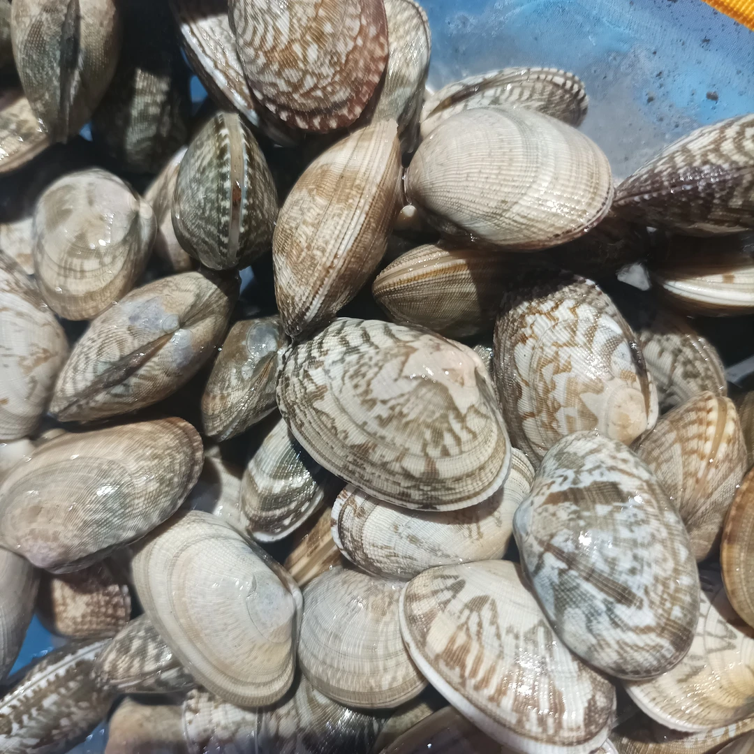 【花甲】500g一份