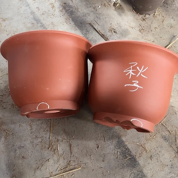 秋***子35×25巨无霸两只