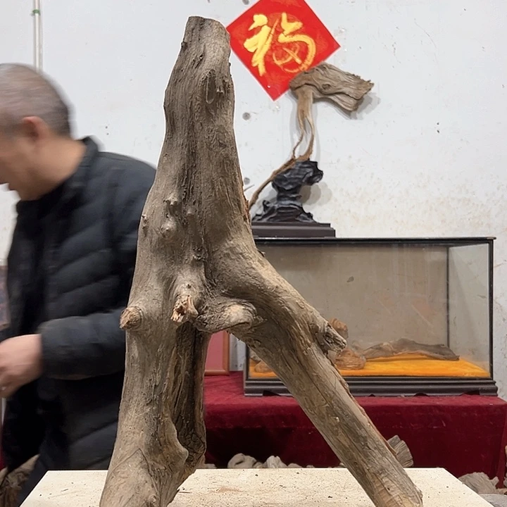 柏木云*我们的生活也是如此