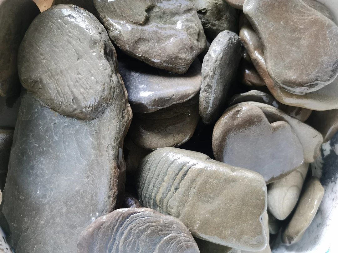 直播间现场定制改价专用链接