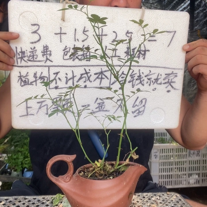 退款拉黑一物一拍46