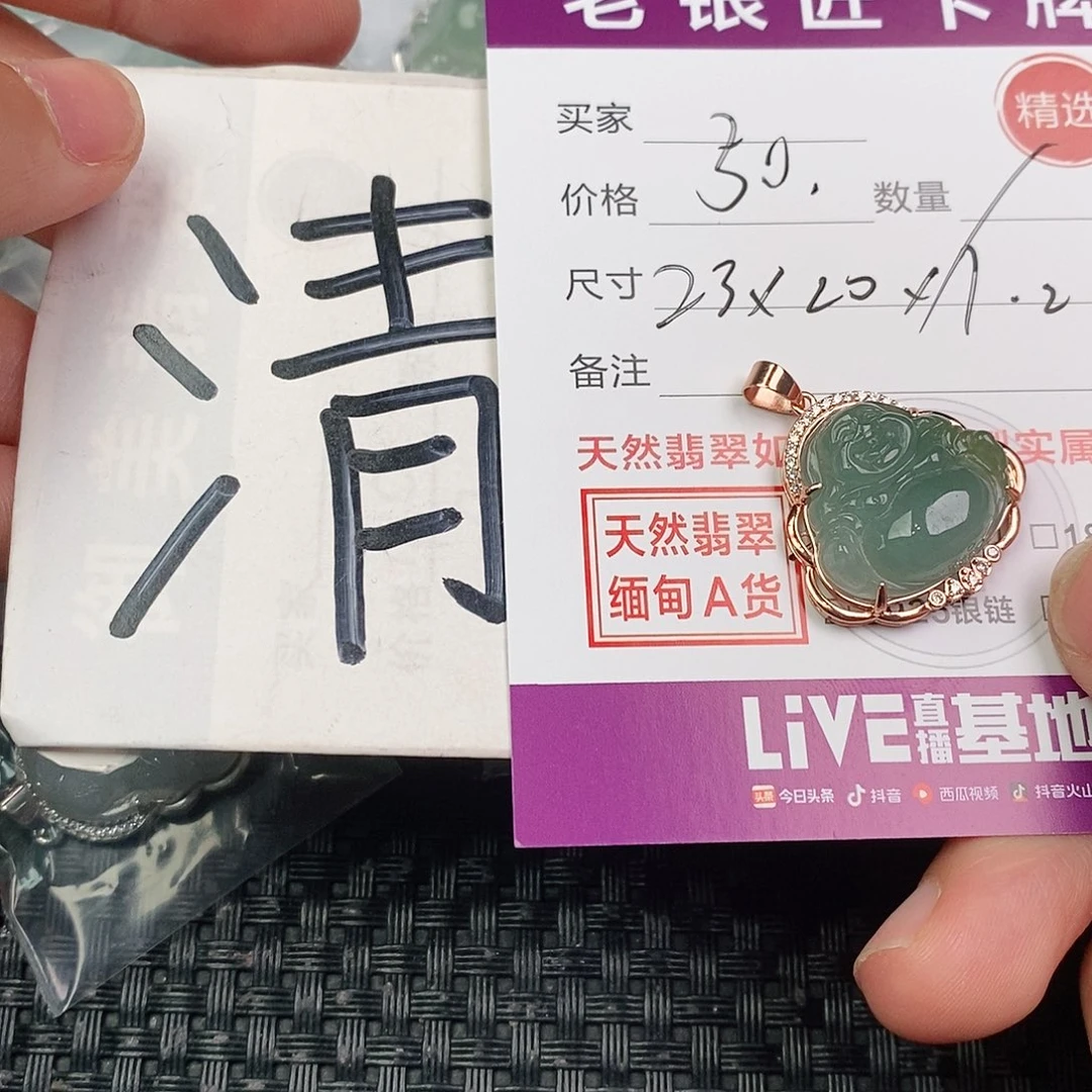 翡翠银S925镶嵌颈饰