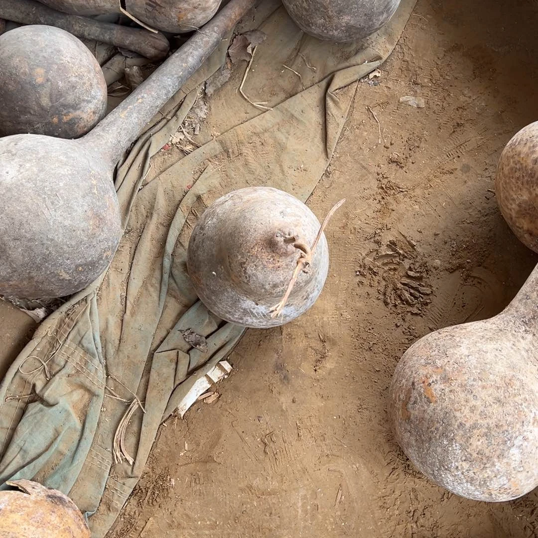 打***-5543236789975