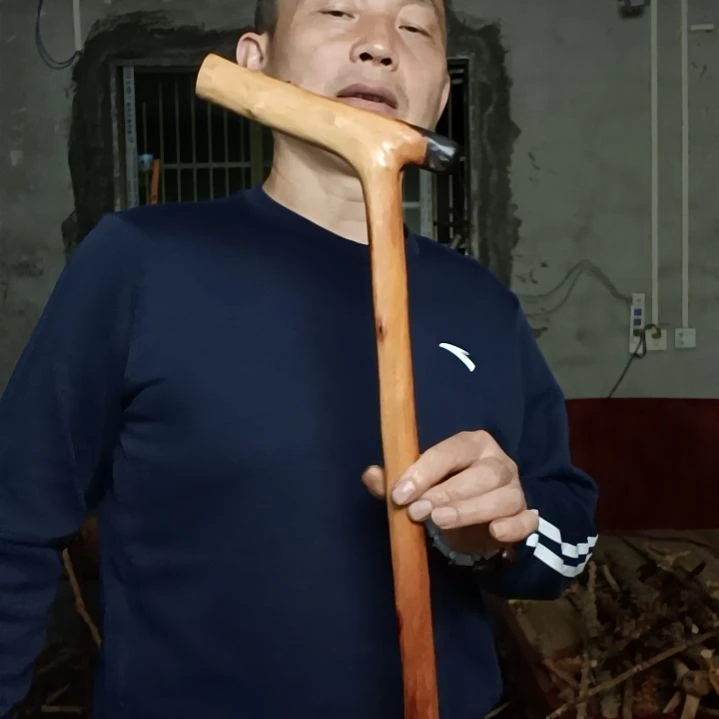 稳定木随****8贵州檬子木   铁马鞭   根艺  半成品