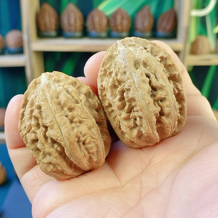 吊坠文玩核桃纵横捭阖