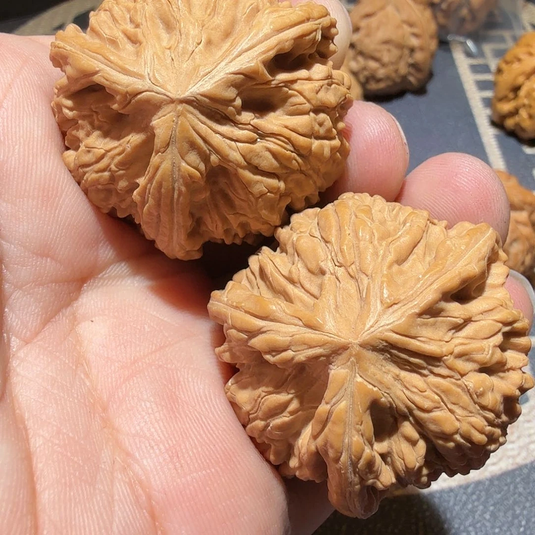 文玩核桃吊坠御龙三棱