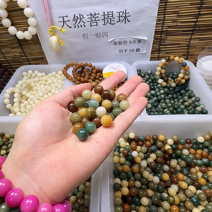 吊坠菩提根/象牙果