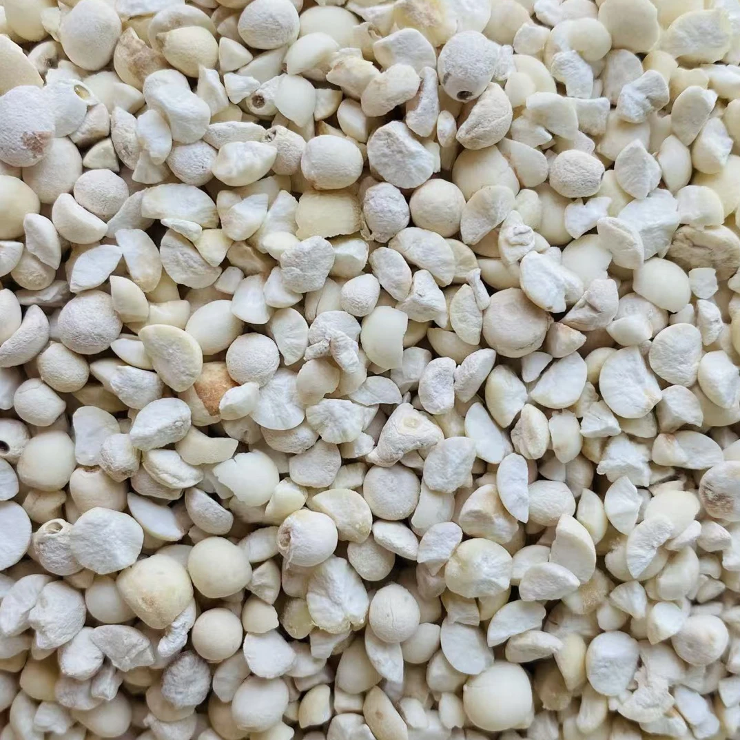 新苏南中小苏芡片包邮销售,数量不多,要的速度