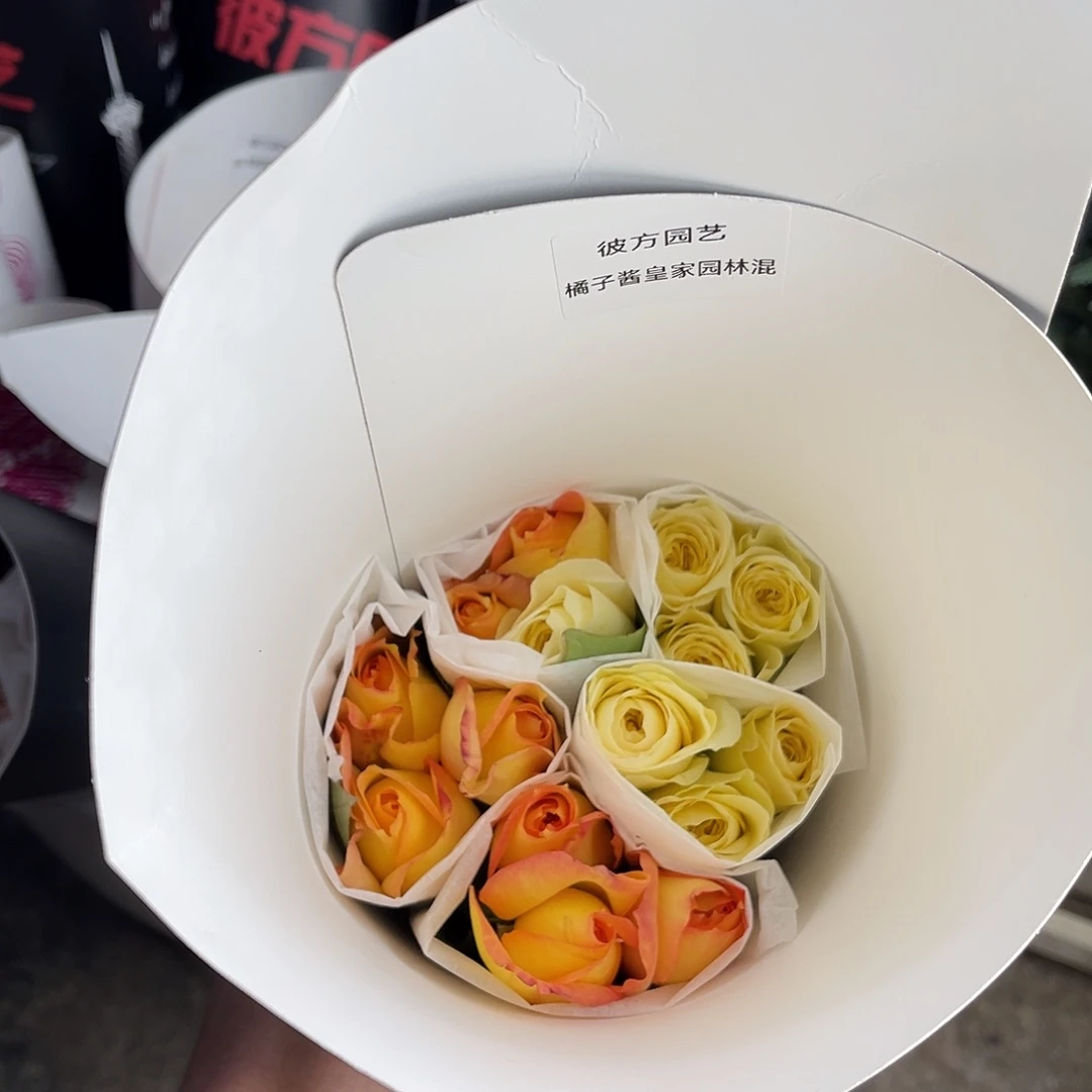 完全开放彼方（橘子酱皇家园林混色）一扎