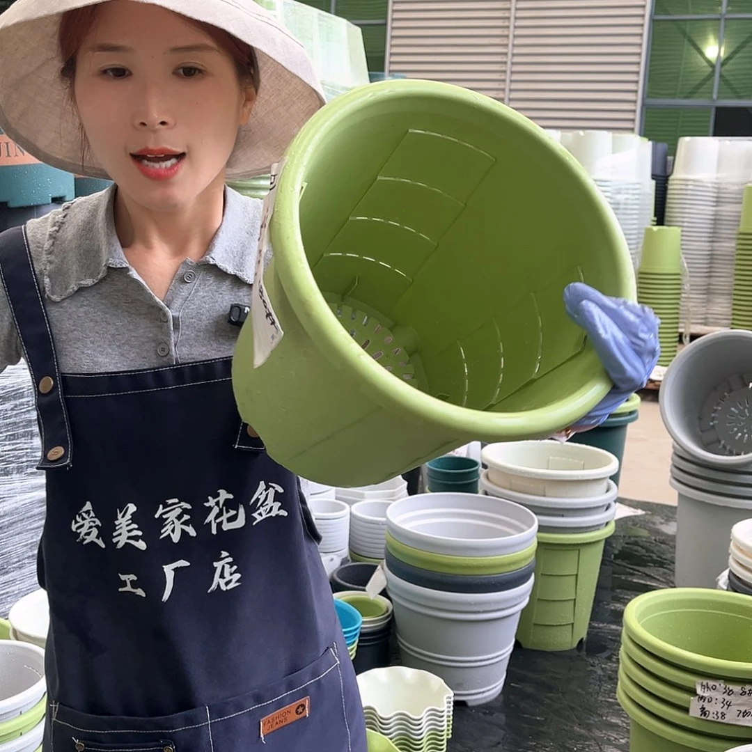 玫瑰盆280#果绿色5个含托