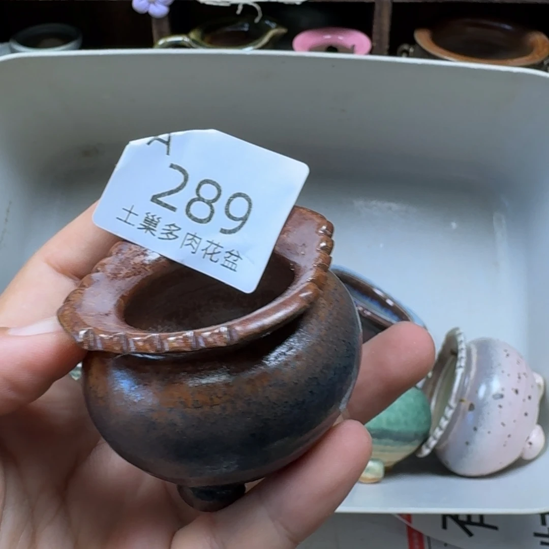 王***鱼陶瓷工艺与艺术设计