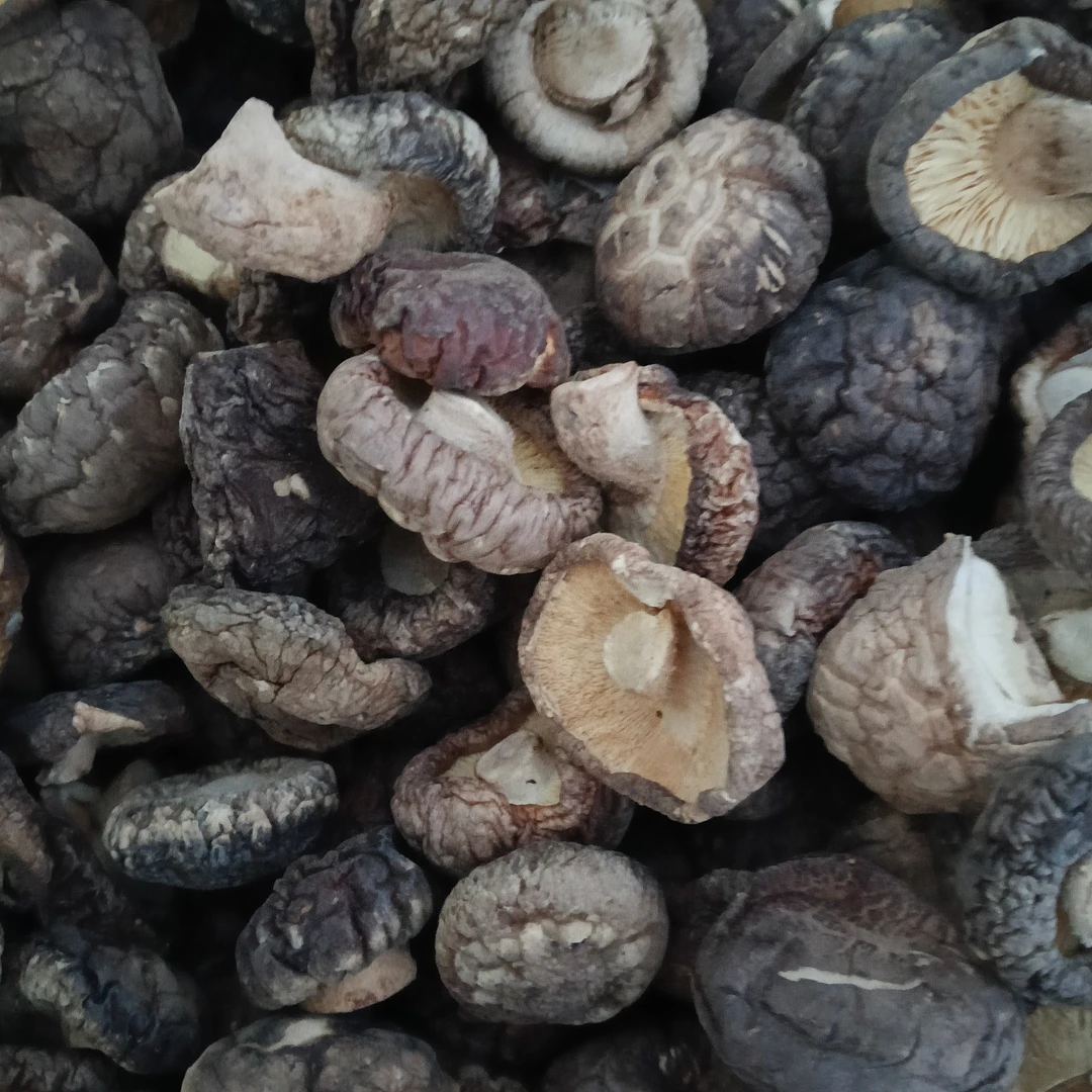 佤乡山货推荐新【小香菇】干货云南农家肉厚干香菇蘑菇新货