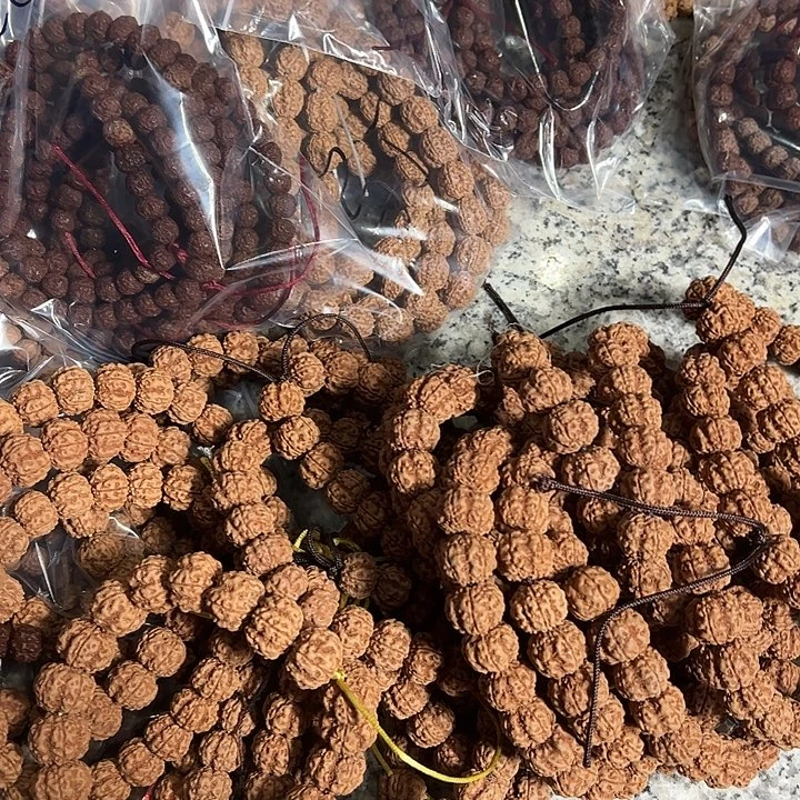 金刚菩提手串毒药梅花