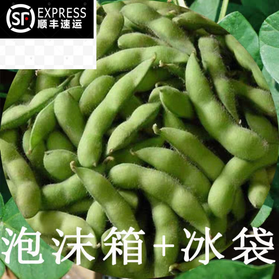 苏北农家本地新鲜大青毛豆角带壳青豆嫩黄豆大豆豆荚商用现摘蔬菜