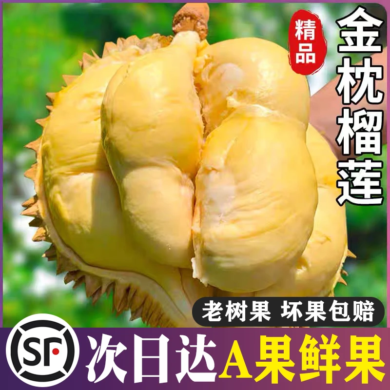 【中秋补贴】A级2-3斤金枕榴莲泰国鲜榴莲金枕头整颗带壳鲜果【顺丰次日达】皮薄肉厚核小26HJ金枕泰国东部