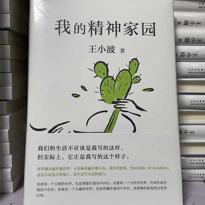 我的精神家园 精装带塑封