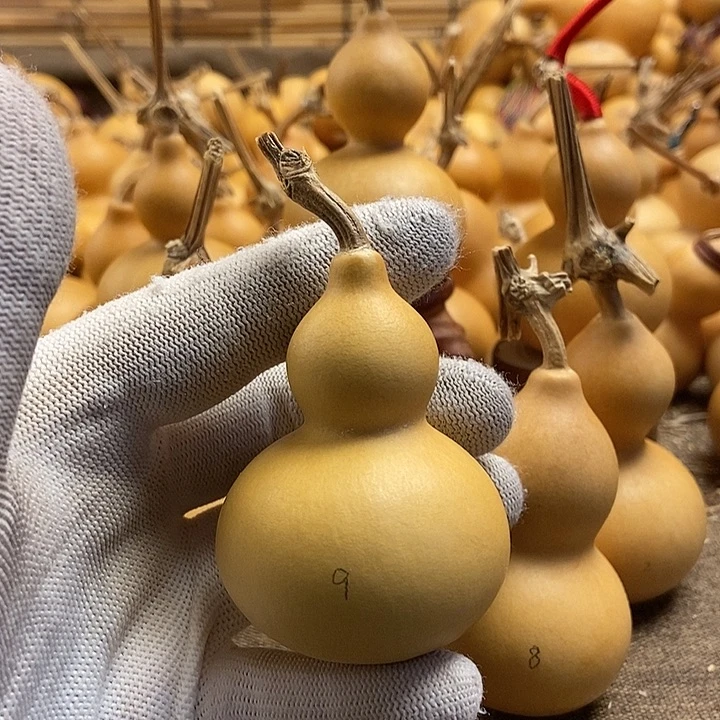 文玩葫芦 完美主义者 慎拍9