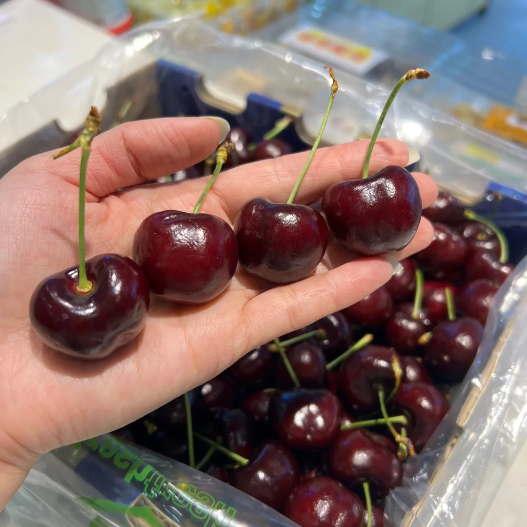 海运车厘子2JD拉宾斯5斤装智利