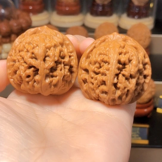 球体凤凰台：全品