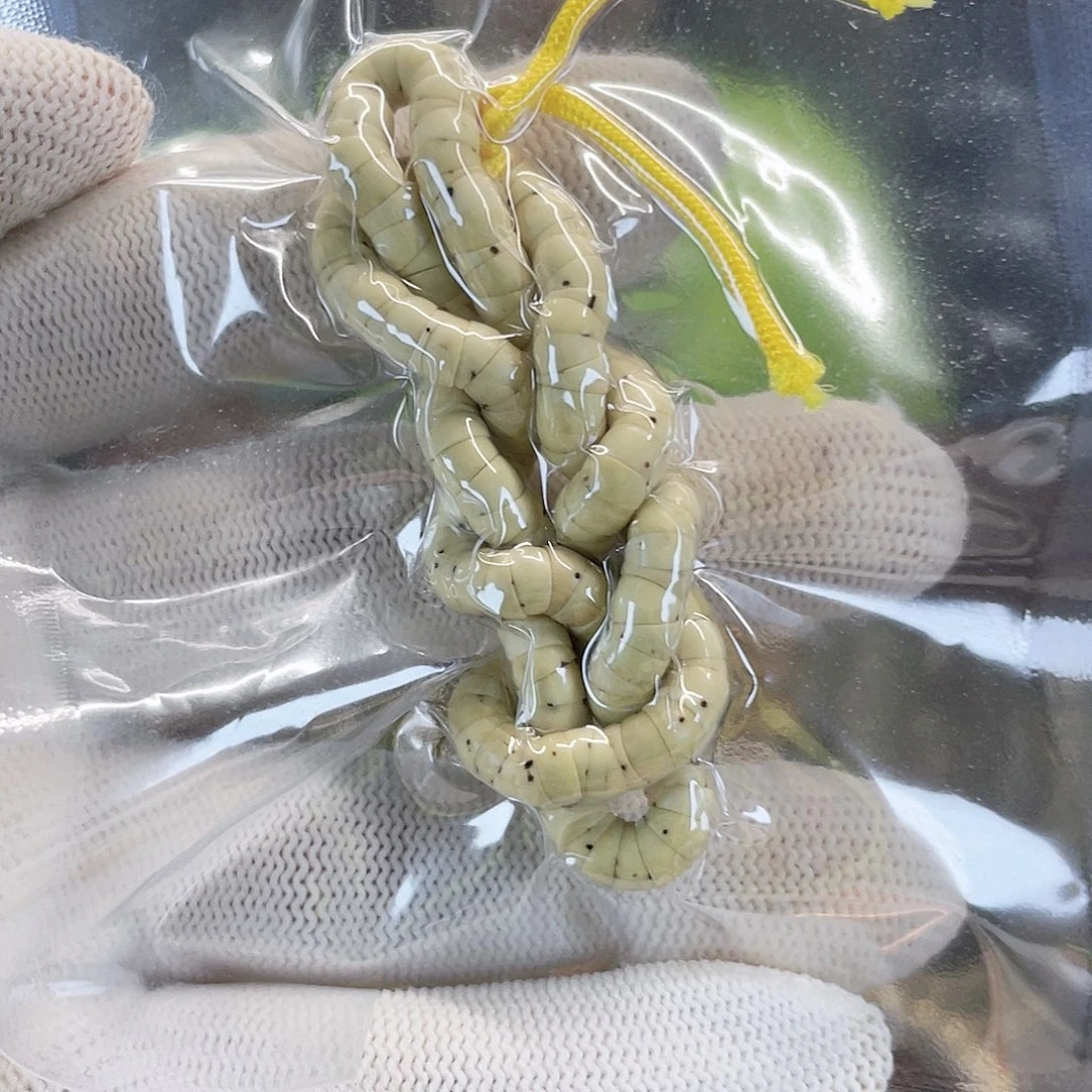 星月菩提手串星月