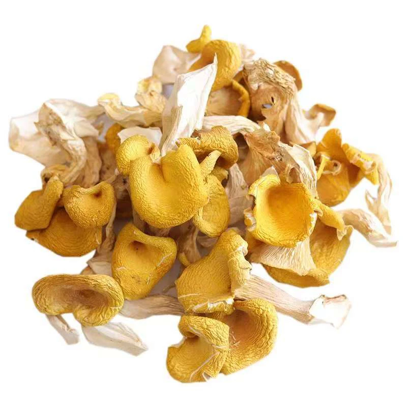 云南特产鸡油菌250g/500g