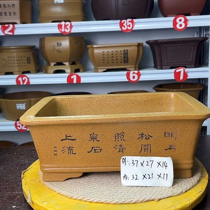 花盆紫砂你在一起