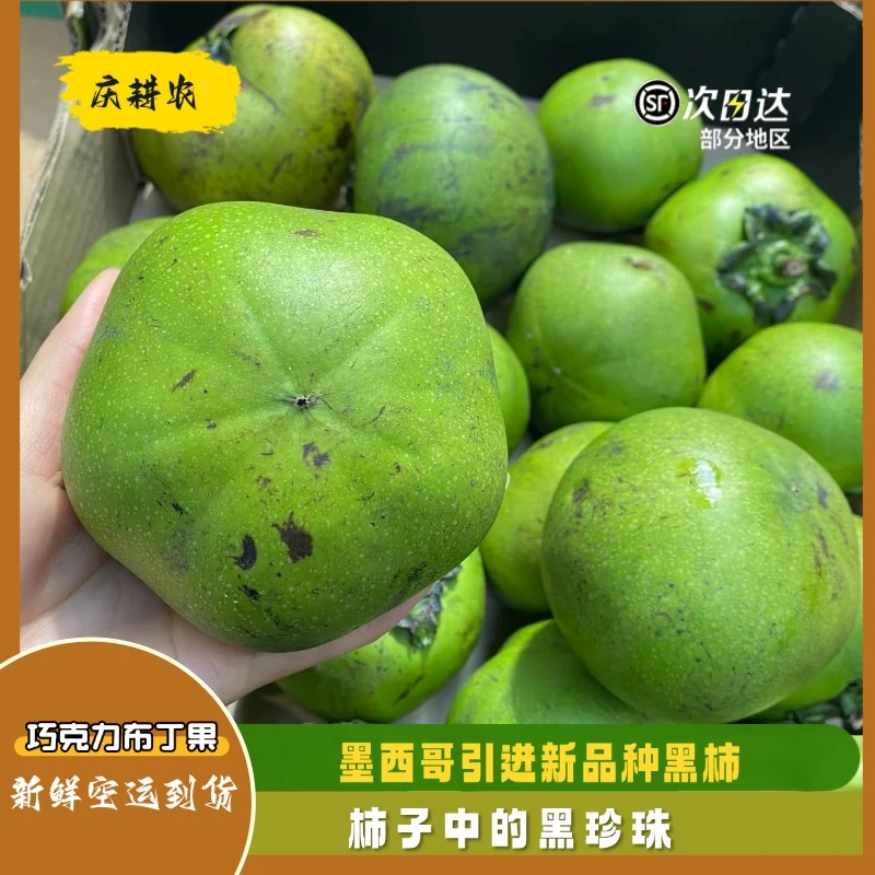 【直播专用】新培育品墨西哥巧克力黑柿布丁果现摘巧克力果黑柿果