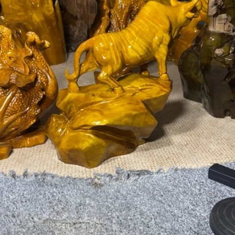 金丝楠旭*哥牛气冲天的