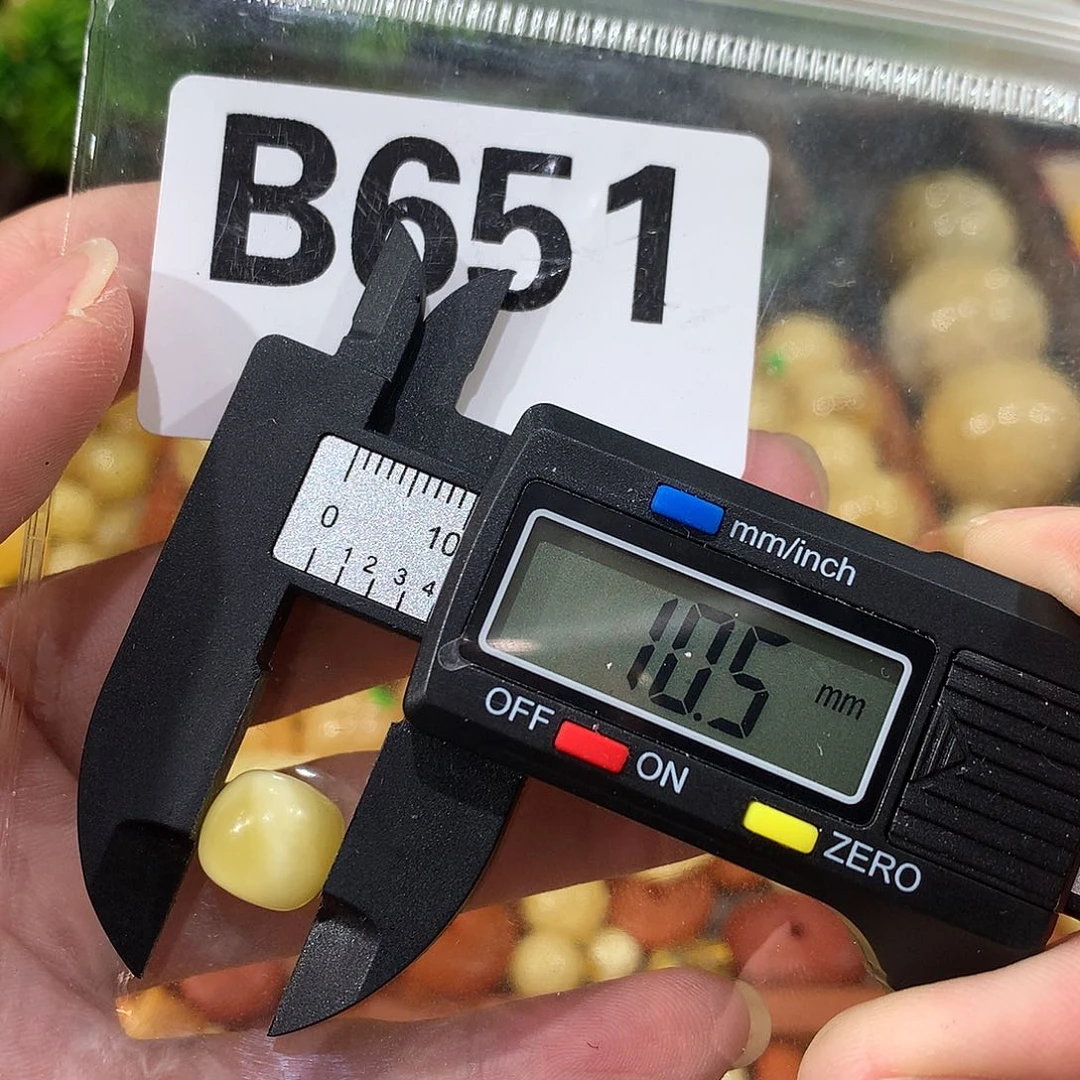 未镶嵌琥珀珠宝奇石