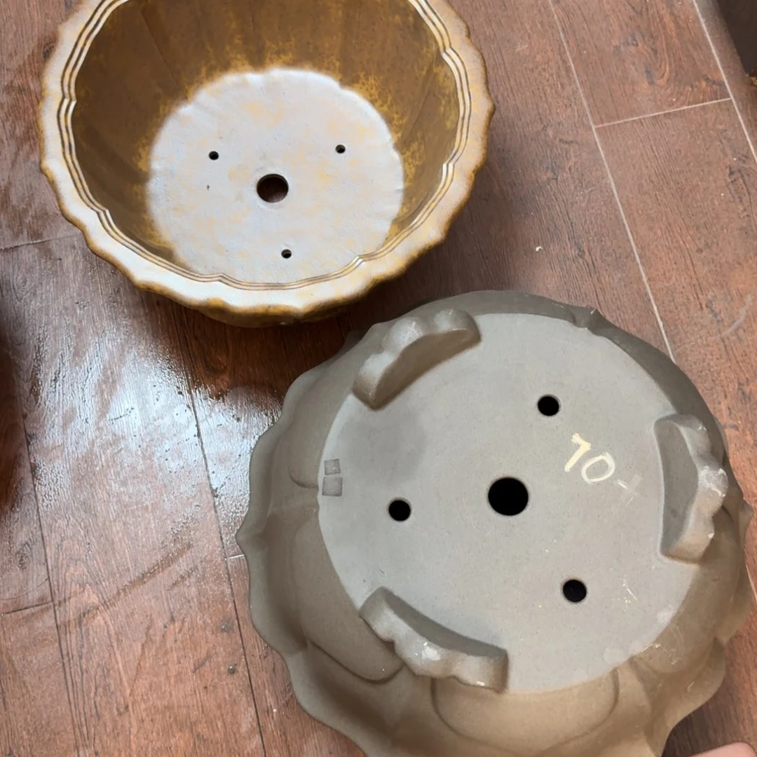 涧***业紫砂花盆呜呜呜我的小