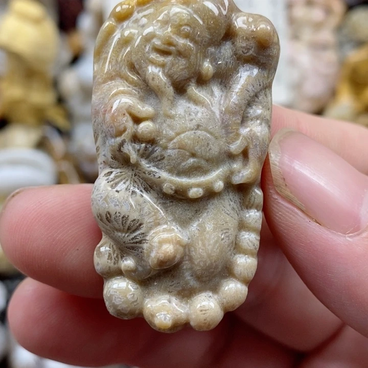 颈饰未镶嵌硅化珊瑚（珊瑚玉）